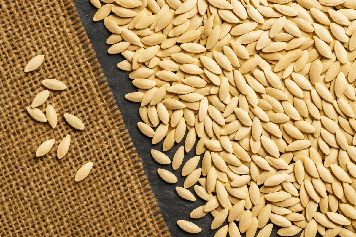 Партенокарпические и пчелоопыляемые огурцы