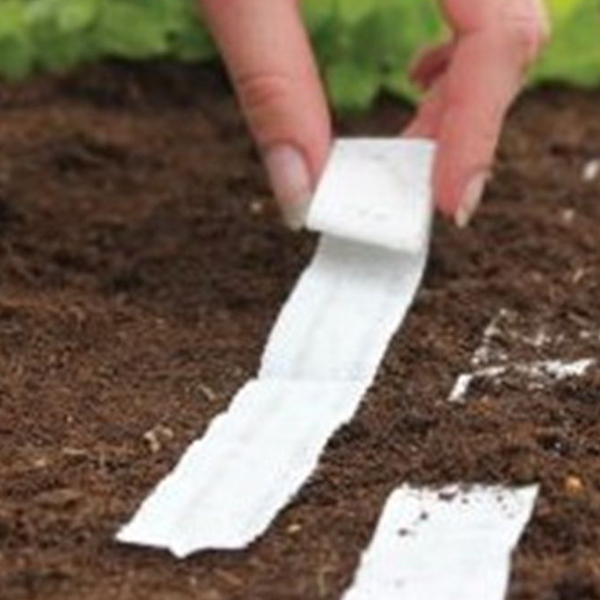 Семена на ленте