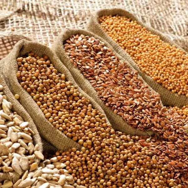 Семена для фермерских хозяйств