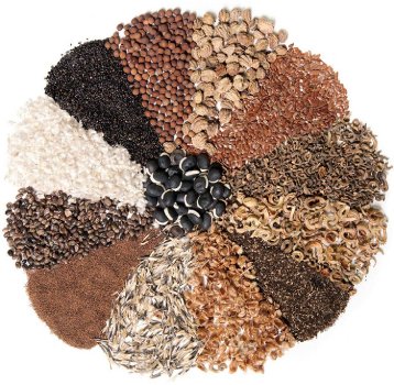 семена растений