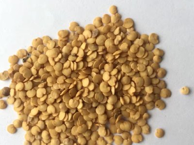 семена баклажанов