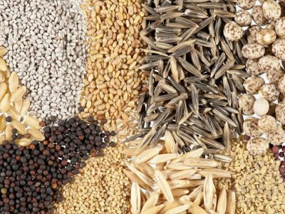 семена овощей