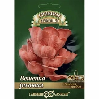 Вешенка Розовая 12 шт