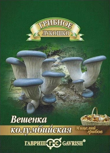 Вешенка Колумбийская 12шт