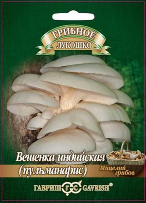 Вешенка индийская Пульмонарис 12 шт