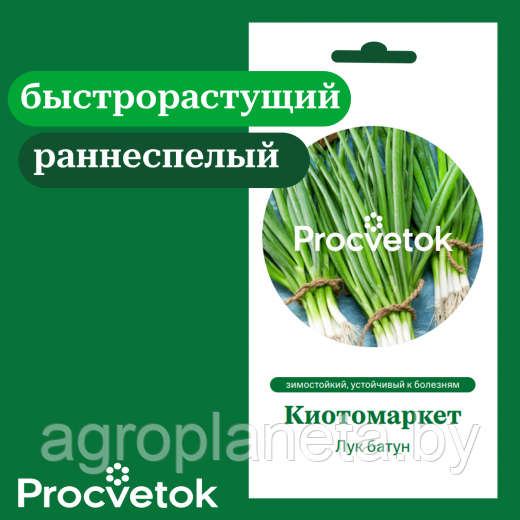 Лук батун Киотомаркет 0,5 г