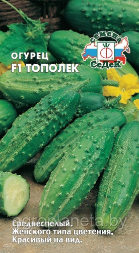 Огурец ТОПОЛЁК F1