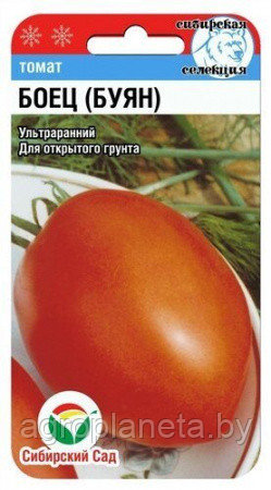 Томат Боец (Буян) 20шт