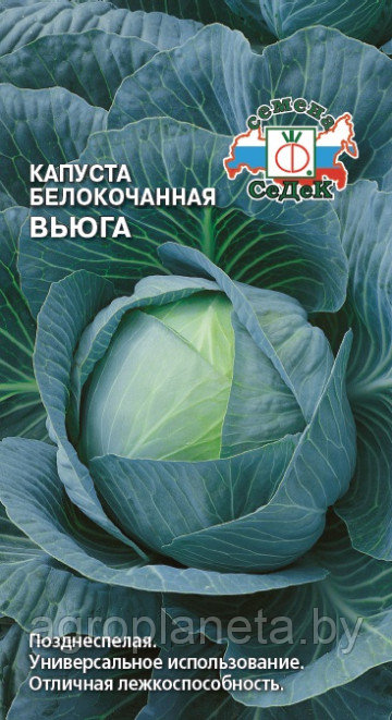 Капуста Вьюга 0.5