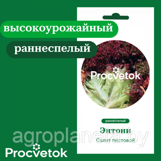 Салат листовой Энтони 0,5г