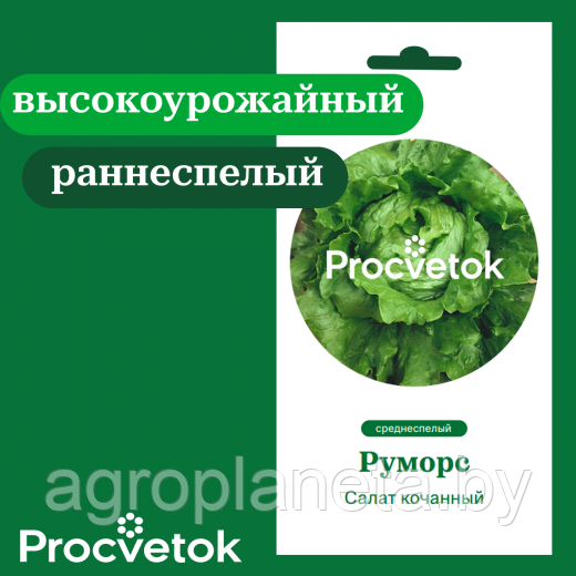 Салат кочанный Руморс 15 шт