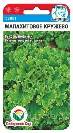 Салат Малахитовое кружево 0,5г