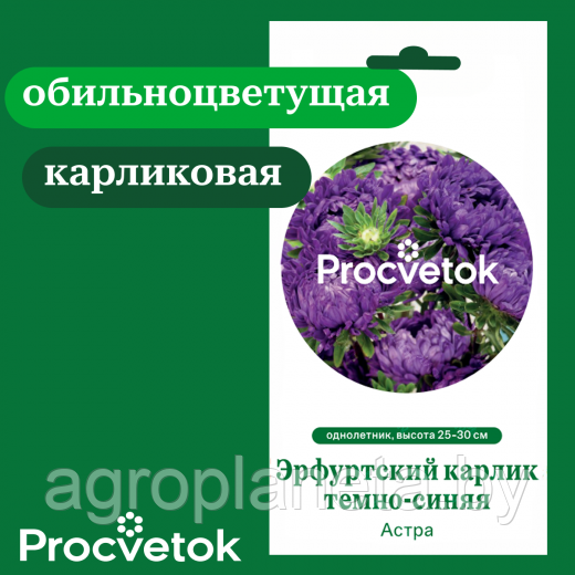 Астра Эрфуртский карлик, темно-синяя 0,2 г