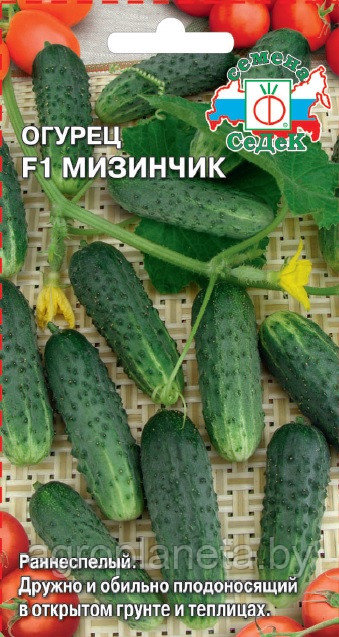 Огурец Мизинчик F1 0.3г