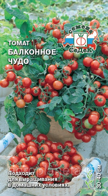 Томат Балконное Чудо, 0.1г