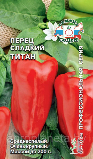 Перец сладкий ТИТАН®, 0.1г
