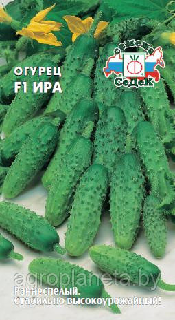 Огурец ИРА F1, 0.2г