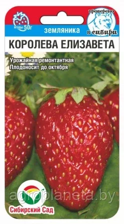 Земляника Королева Елизавета 10шт