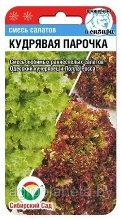 Салат Кудрявая парочка 1г