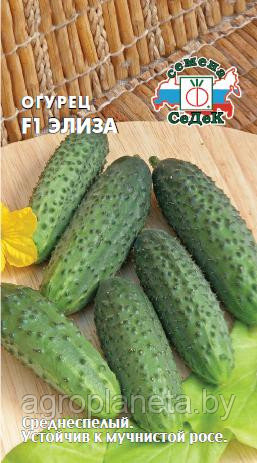 Огурец ЭЛИЗА F1, 0.2г