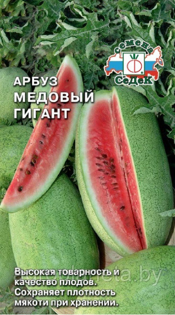 Арбуз Медовый Гигант 1г