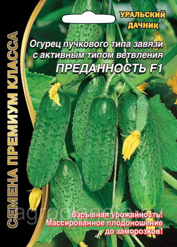 Огурец ПРЕДАННОСТЬ F1, 5+2 шт