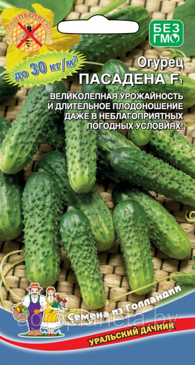 Огурец ПАСАДЕНА F1, 8 шт