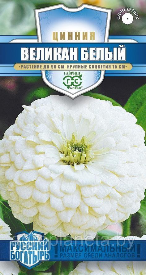 Цинния ВЕЛИКАН БЕЛЫЙ, 0,3 г