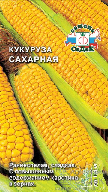 Кукуруза САХАРНАЯ, 4г