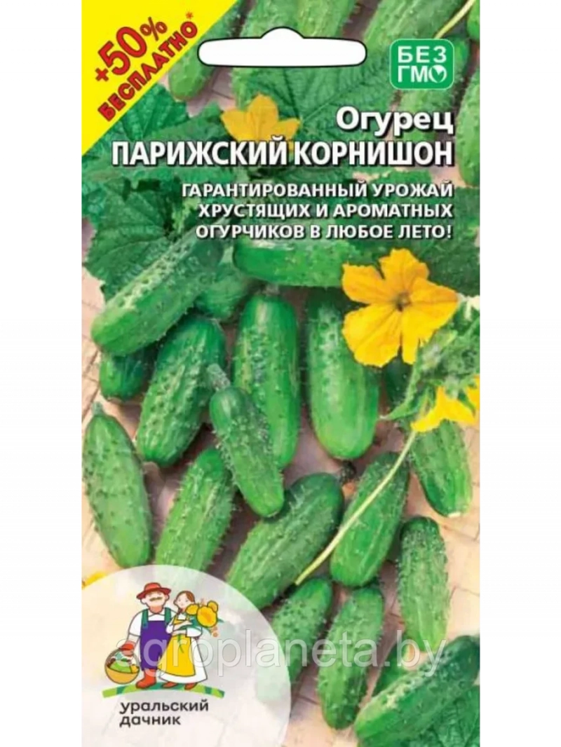 Огурец Парижский корнишон +50% бесплатно 10+5 шт