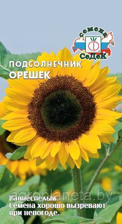 Подсолнечник ОРЕШЕК( кондитерского назначения) 5г