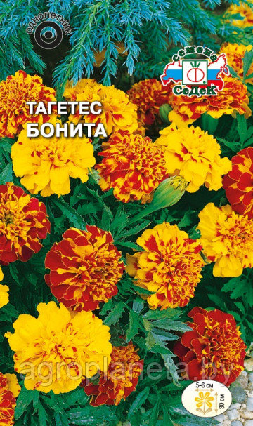 Тагетес Бонита низкорослый (смесь) 0,2г
