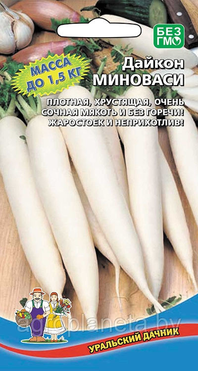 Дайкон МИНОВАСИ, 1г.