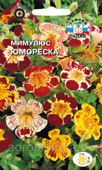 Мимулюс Юмореска (смесь) 0,05г