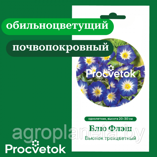 Вьюнок трехцветный Блю Флэш 1 г