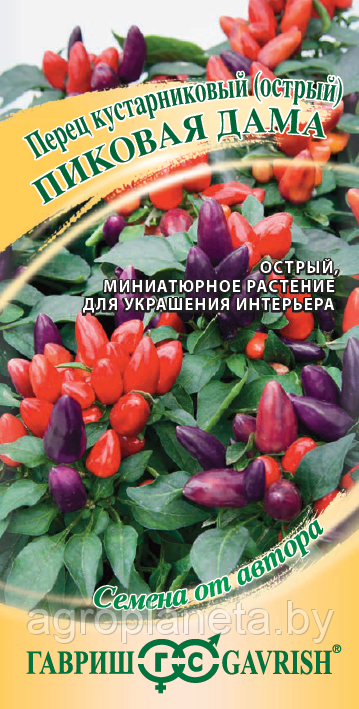 Перец кустарниковый ПИКОВАЯ ДАМА, 5 шт.