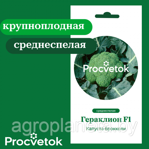 Капуста брокколи Гераклион F1 5 шт