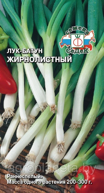 Лук Жирнолистный 1г