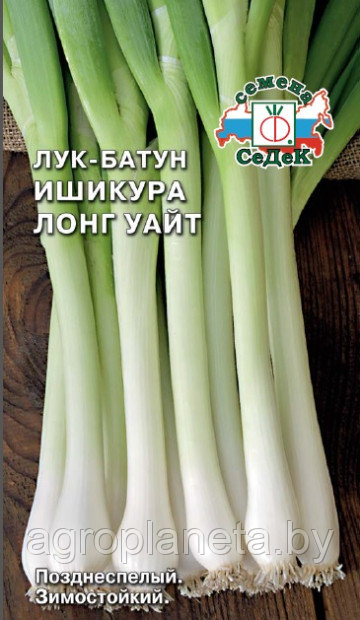 Лук Ишикура Лонг Уайт (бат.) 1г