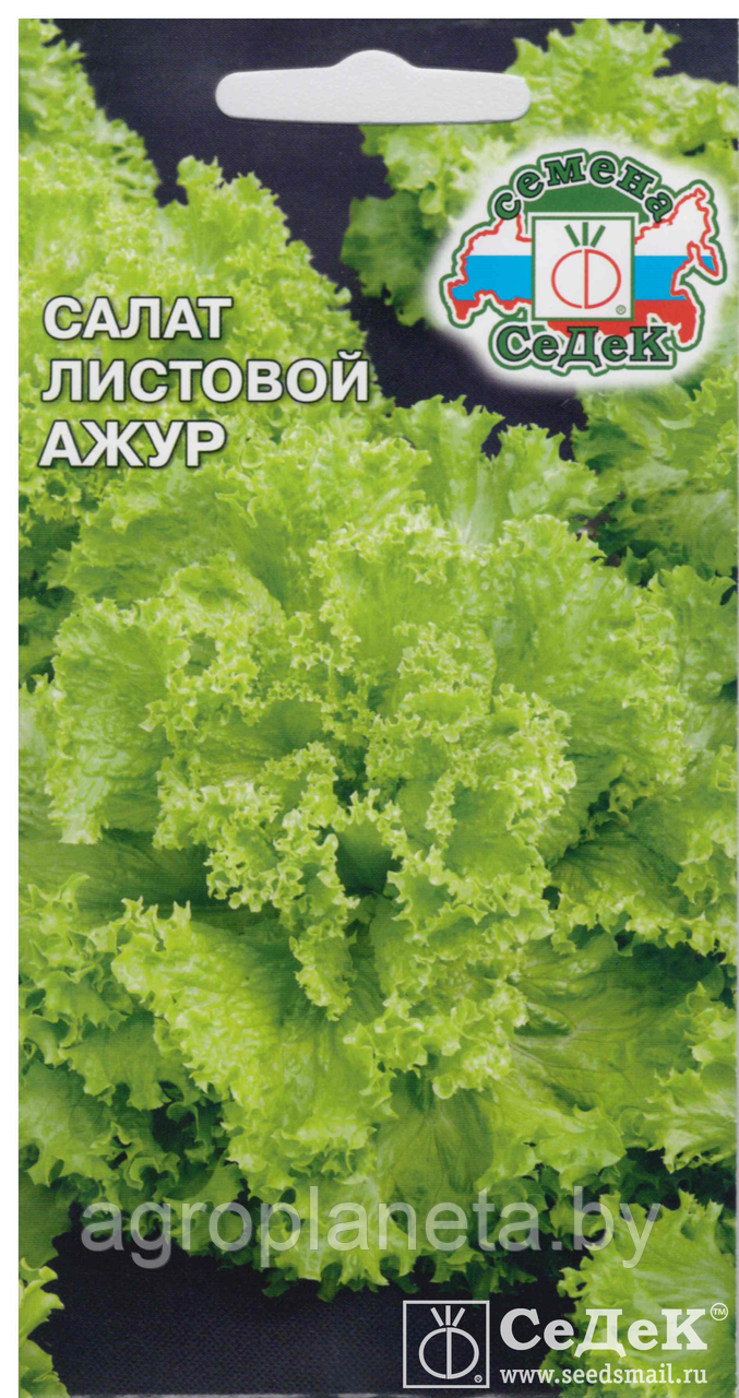 Салат листовой АЖУР, 0.5г