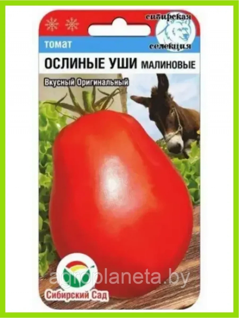 Томат Ослиные уши малиновые 20 шт
