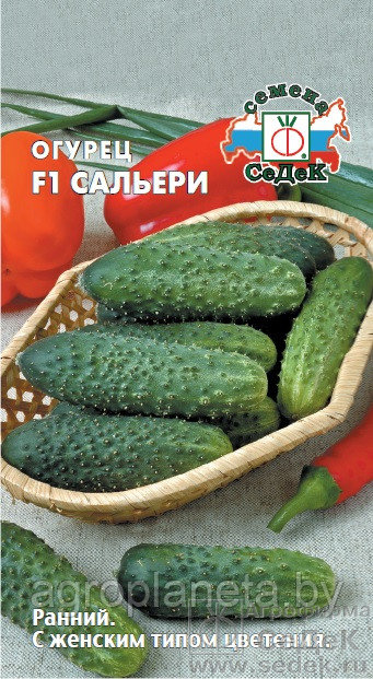 Огурец САЛЬЕРИ F1, 8 с