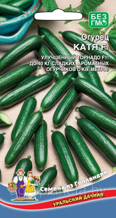 Огурец КАТЯ F1, 5 шт