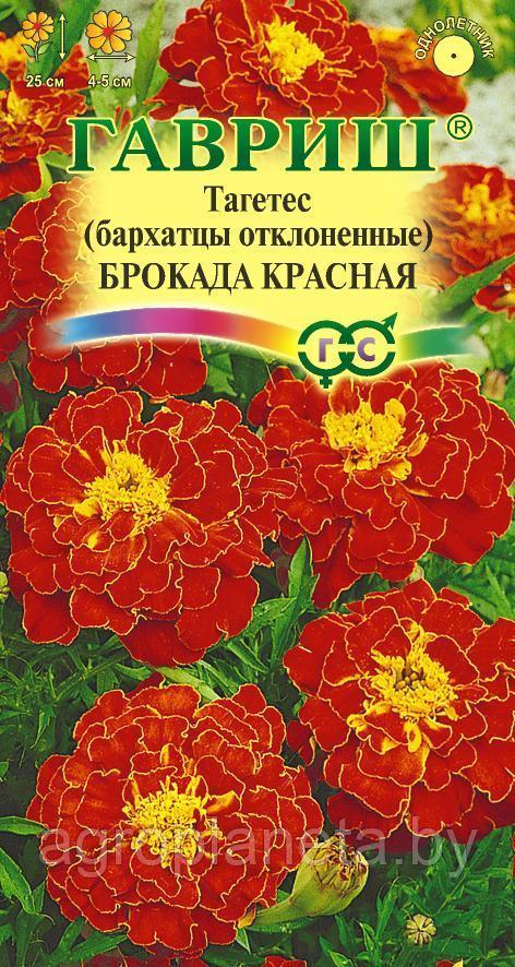 Бархатцы отклонённые БРОКАДА красная, 0.3 г
