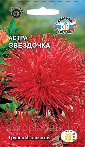 Астра ЗВЁЗДОЧКА, 0.2г