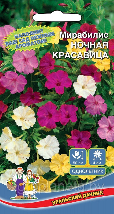 Мирабилис НОЧНАЯ КРАСАВИЦА, 0.5 г