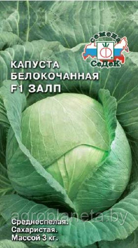 Капуста ЗАЛП F1, 0.3г