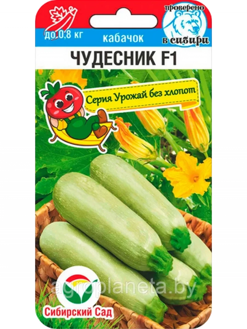 Кабачок Чудесник F1, 5шт