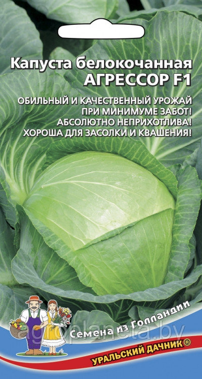 Капуста АГРЕССОР F1, 12 шт.