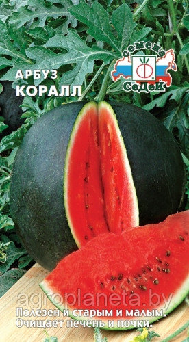 Арбуз КОРАЛЛ, 1г